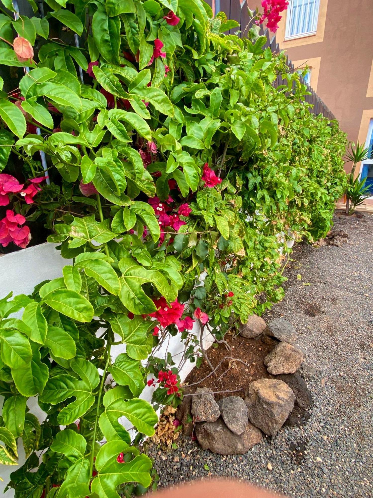 Appartamento Blue Wave House Corralejo La Oliva Esterno foto