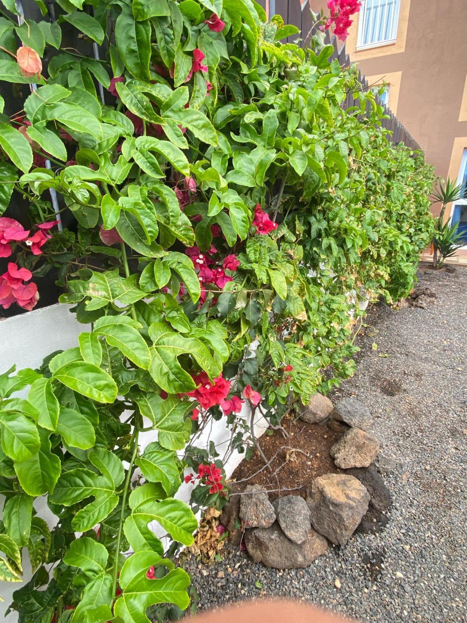 Appartamento Blue Wave House Corralejo La Oliva Esterno foto